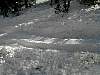 ruts.jpg