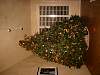 101-0175_img.jpg