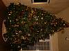 101-0176_img.jpg